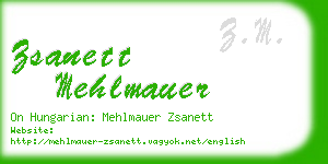 zsanett mehlmauer business card